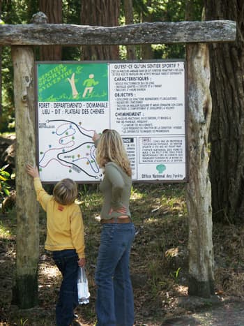 informations hikers belouve forest