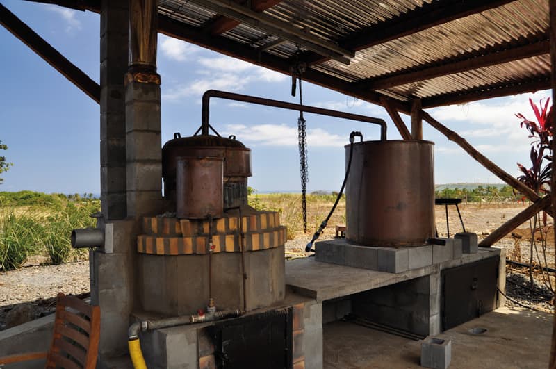 Distillation of Geranium