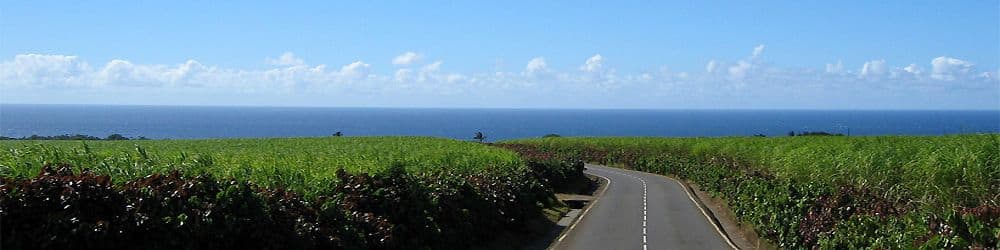 Loueurs véhicules île Réunion