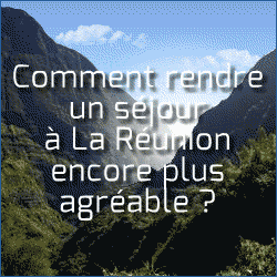 Banniere 32